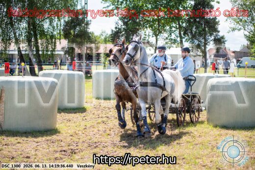 Mintakép 20260613-1188