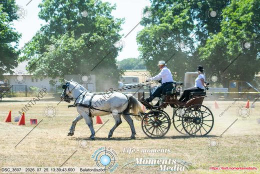 Mintakép 20260725-214