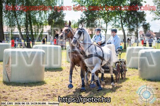 Mintakép 20260613-1189
