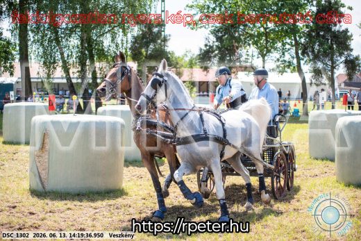 Mintakép 20260613-1190