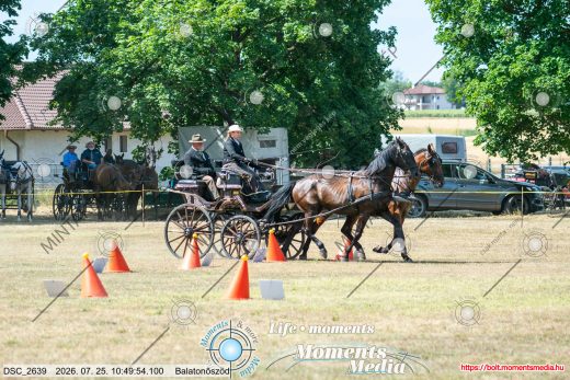 Mintakép 20260725-245