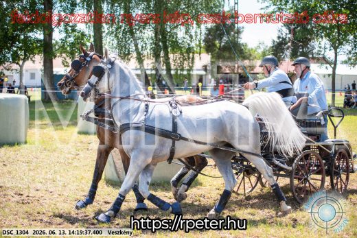 Mintakép 20260613-1192
