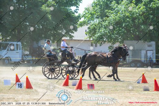 Mintakép 20260725-251