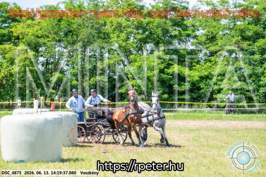 Mintakép 20260613-1193