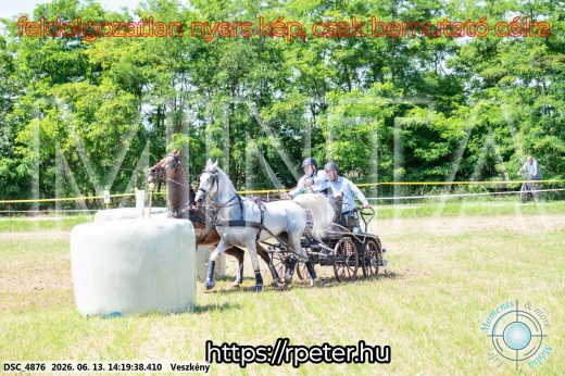 Mintakép 20260613-1194