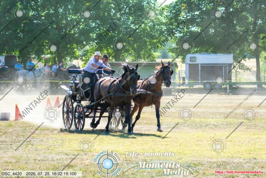 Mintakép 20260725-271