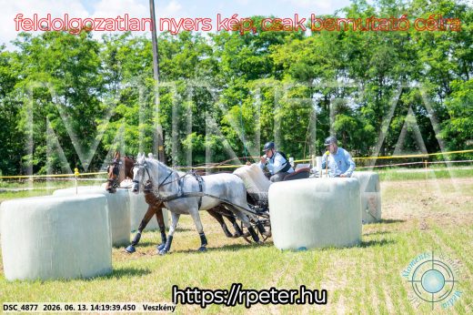 Mintakép 20260613-1195
