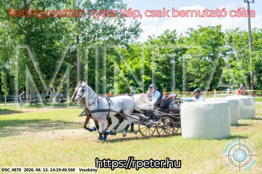 Mintakép 20260613-1196