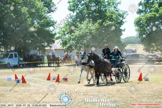Mintakép 20260725-298