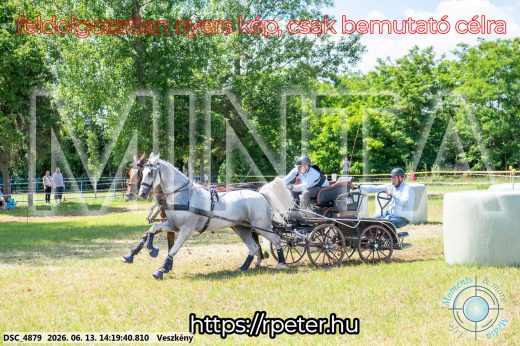 Mintakép 20260613-1197