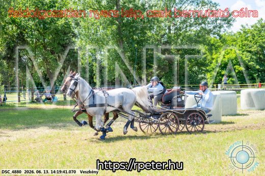 Mintakép 20260613-1198