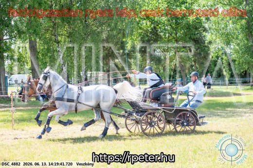 Mintakép 20260613-1200