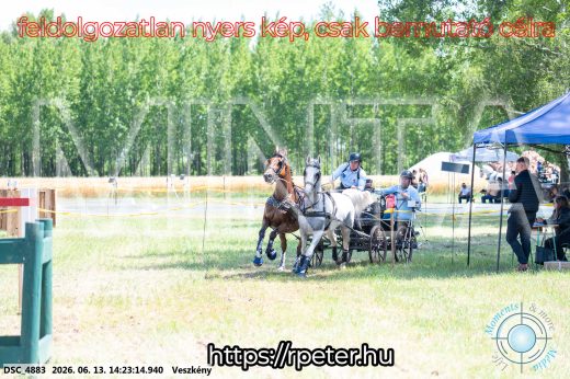 Mintakép 20260613-1201
