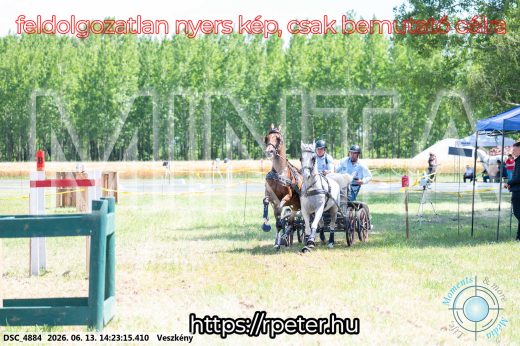 Mintakép 20260613-1202
