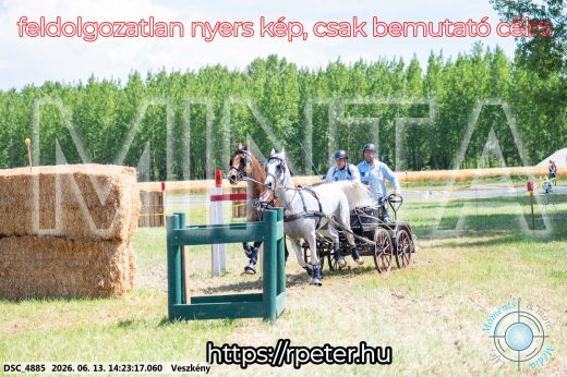 Mintakép 20260613-1203