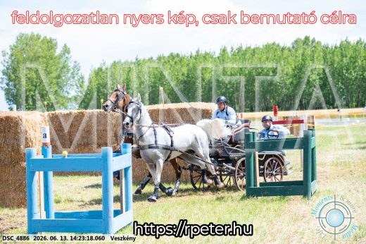 Mintakép 20260613-1204