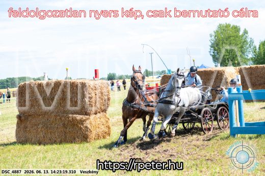 Mintakép 20260613-1205