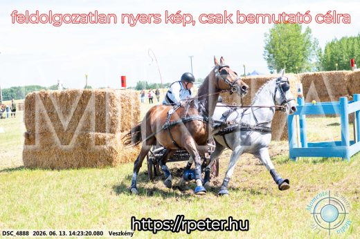Mintakép 20260613-1206