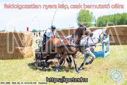 Mintakép 20260613-1207
