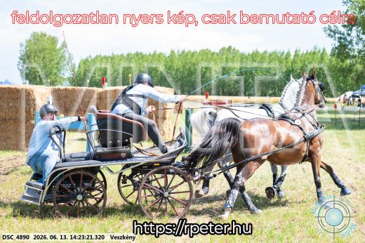 Mintakép 20260613-1208