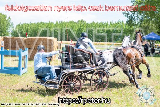 Mintakép 20260613-1209