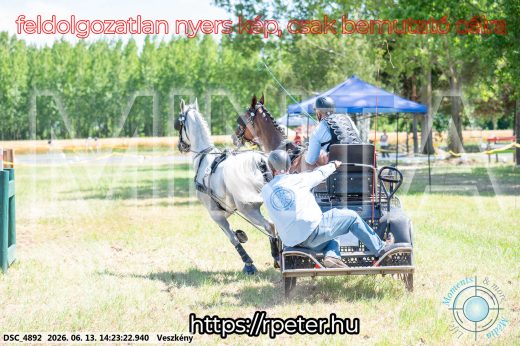 Mintakép 20260613-1210