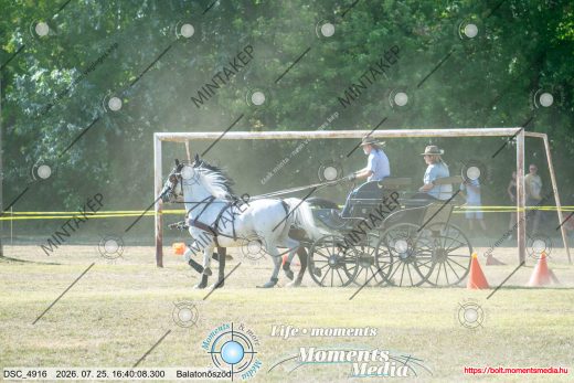 Mintakép 20260725-434