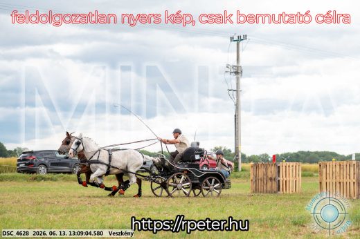 Mintakép 20260613-35