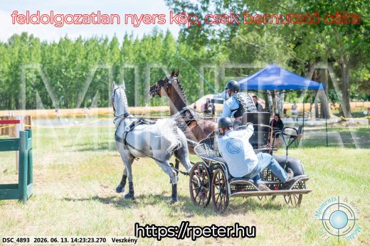 Mintakép 20260613-1211