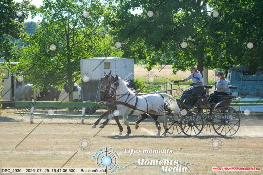 Mintakép 20260725-441