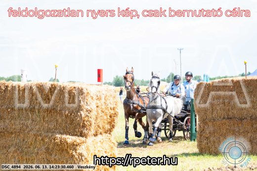 Mintakép 20260613-1212