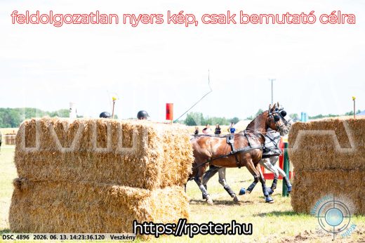 Mintakép 20260613-1213