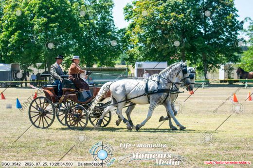 Mintakép 20260725-462