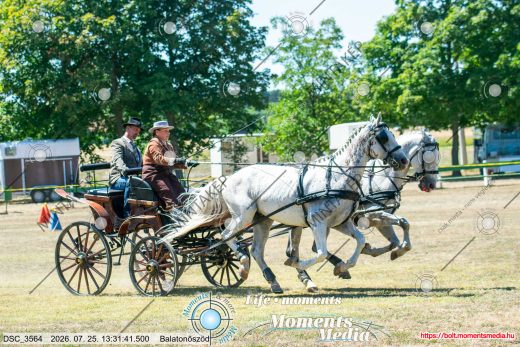 Mintakép 20260725-474