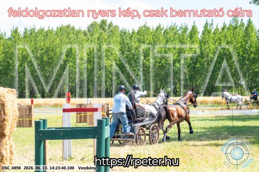 Mintakép 20260613-1215