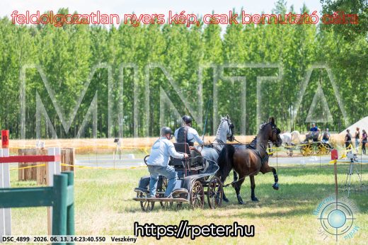 Mintakép 20260613-1216