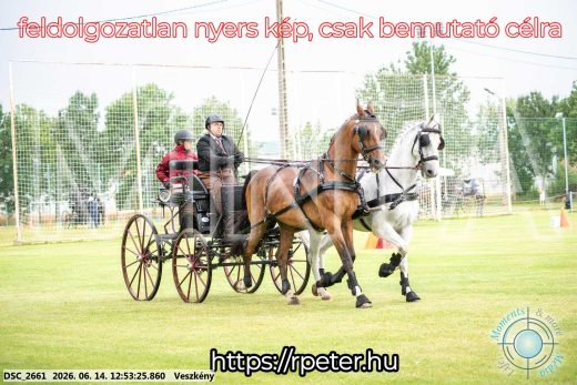 Mintakép 20260614-428