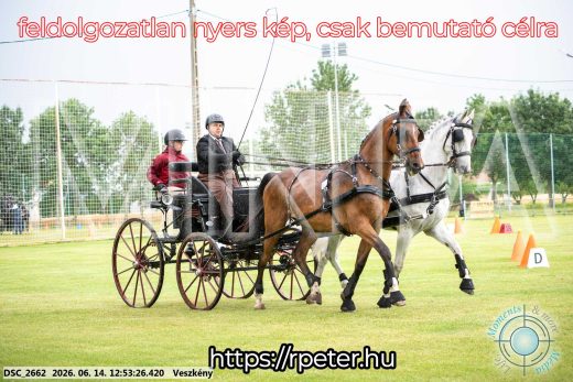 Mintakép 20260614-429