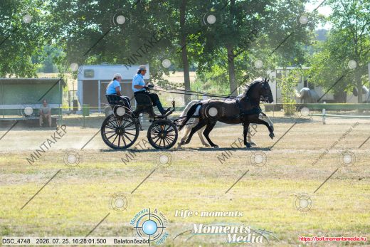 Mintakép 20260725-514