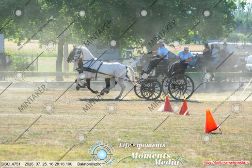 Mintakép 20260725-517