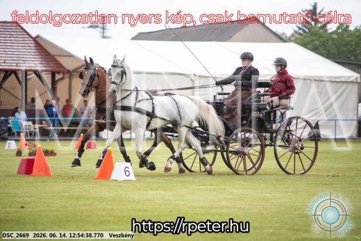 Mintakép 20260614-431