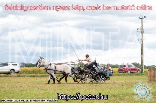 Mintakép 20260613-36