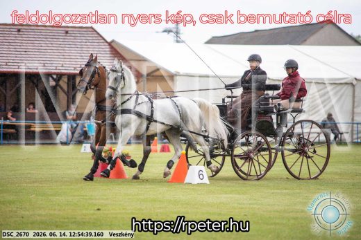 Mintakép 20260614-432