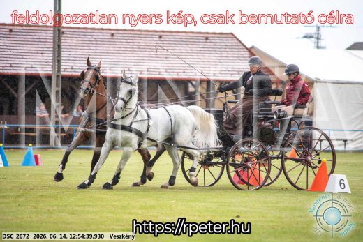 Mintakép 20260614-434