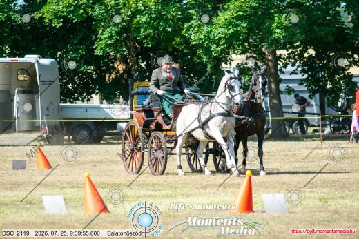 Mintakép 20260725-566