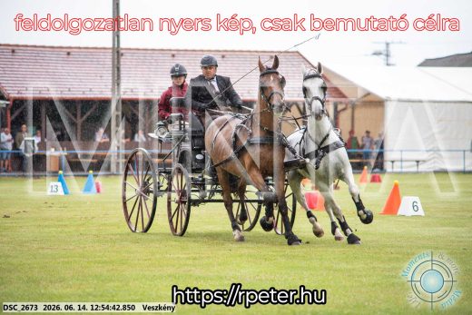 Mintakép 20260614-435