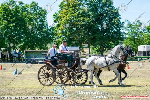 Mintakép 20260725-575