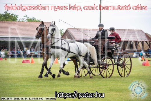 Mintakép 20260614-436