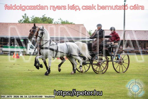Mintakép 20260614-437