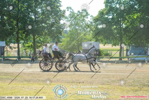 Mintakép 20260725-598